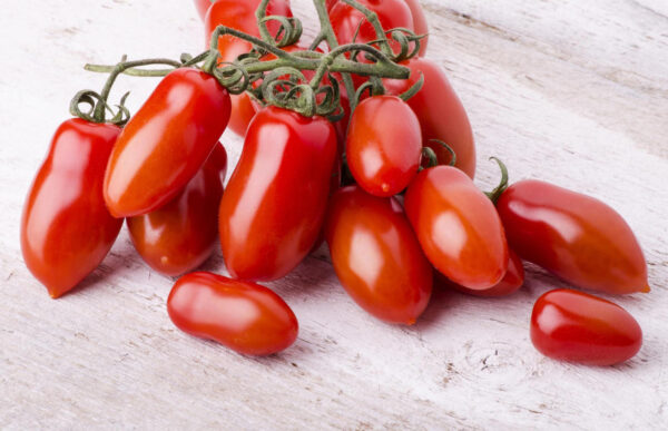 Sauce: Fresh Tomatoes